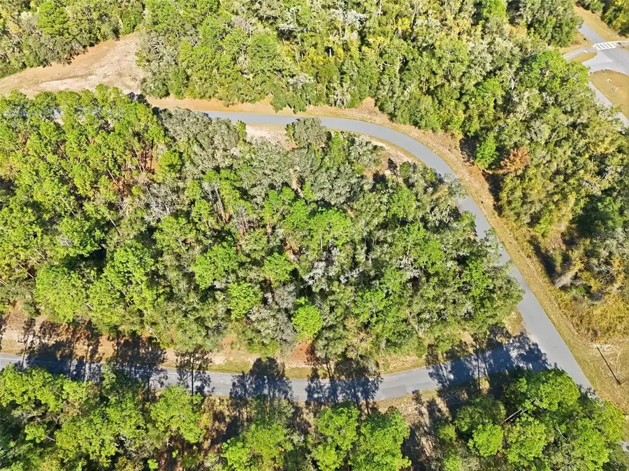 2237 W Striblin Drive, Citrus Springs, FL 34434 - Image #2