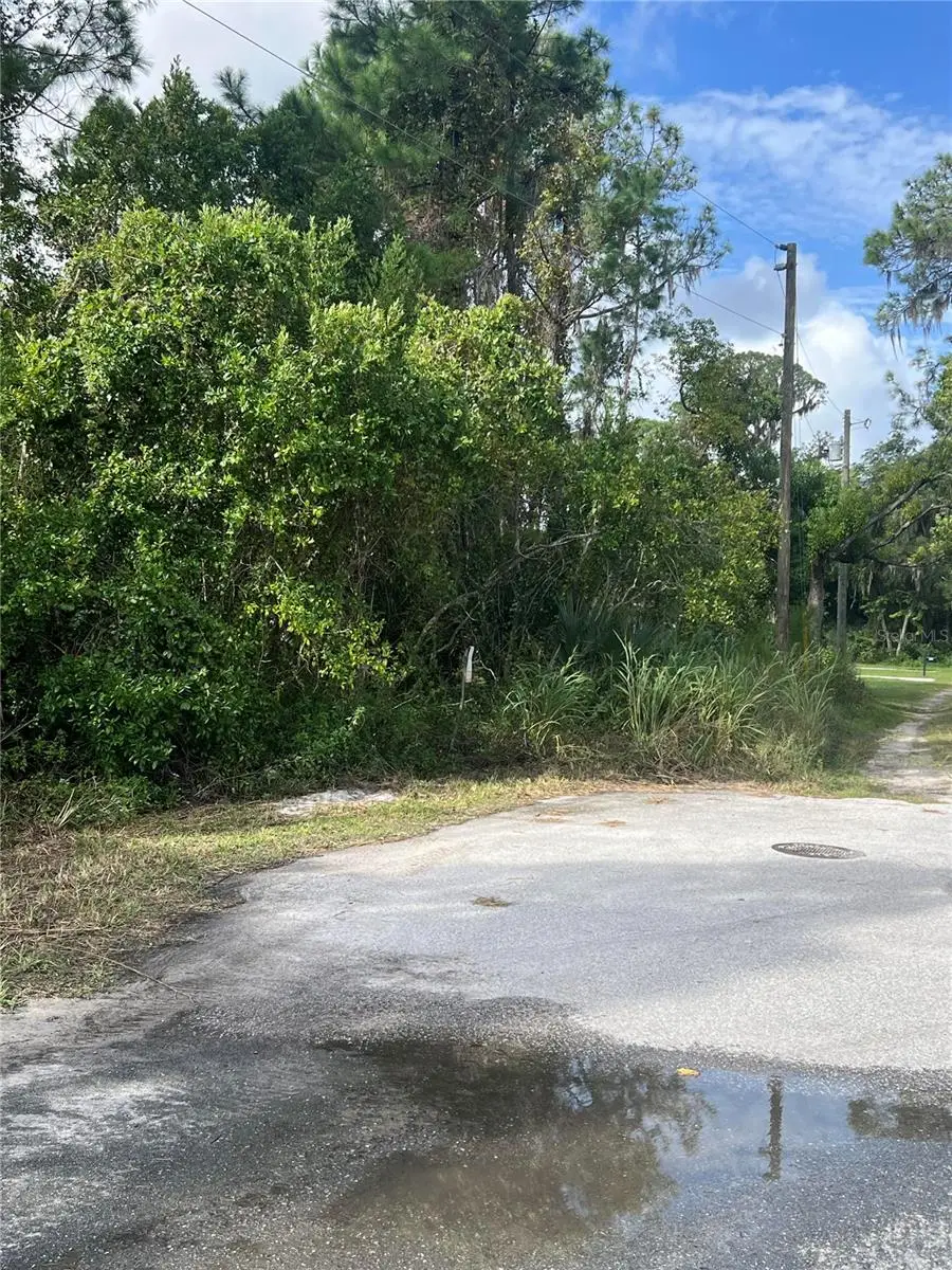 W Herrick Avenue, Eustis, FL 32726 - Image #1