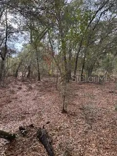 00 Riviera Drive, INTERLACHEN, FL 32148