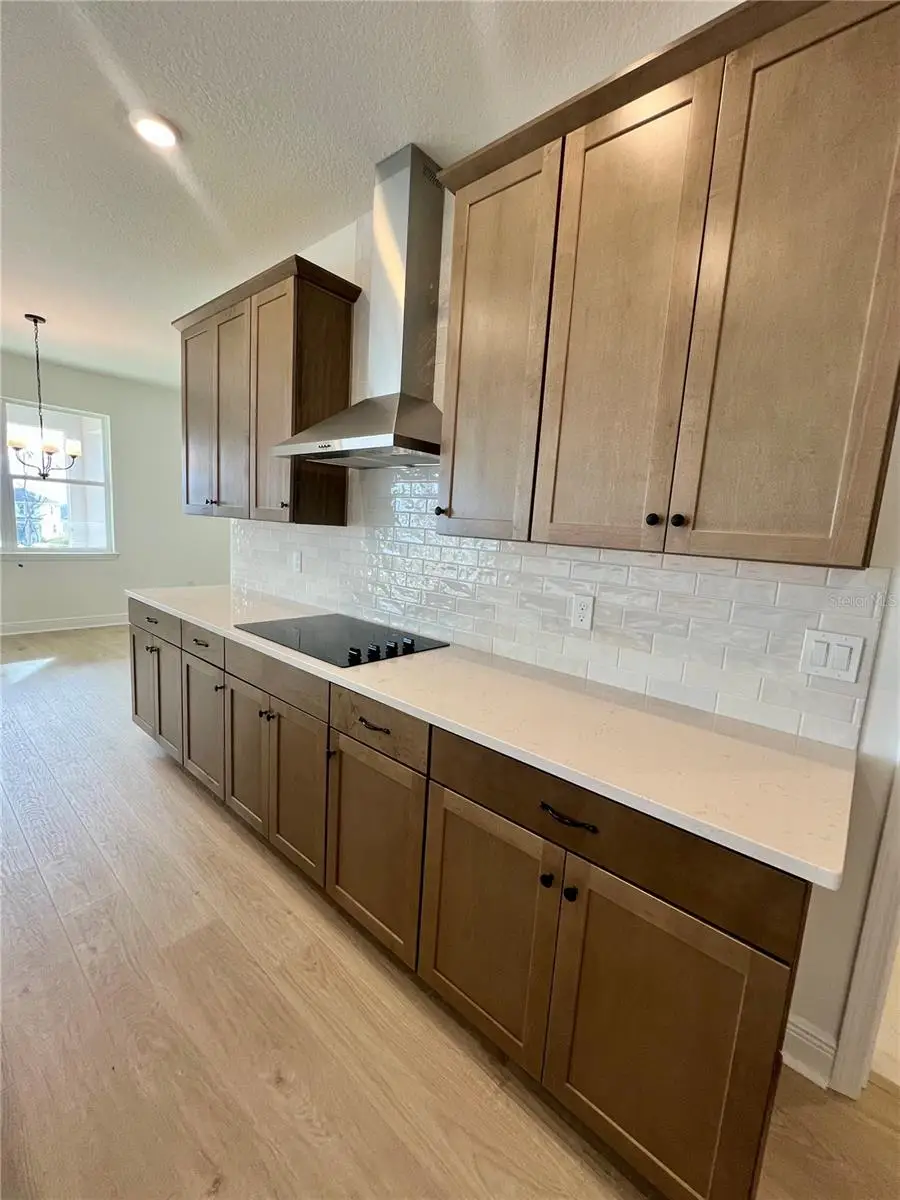 2200 Keystone Pass Pass, Minneola, FL 34715 - Image #3