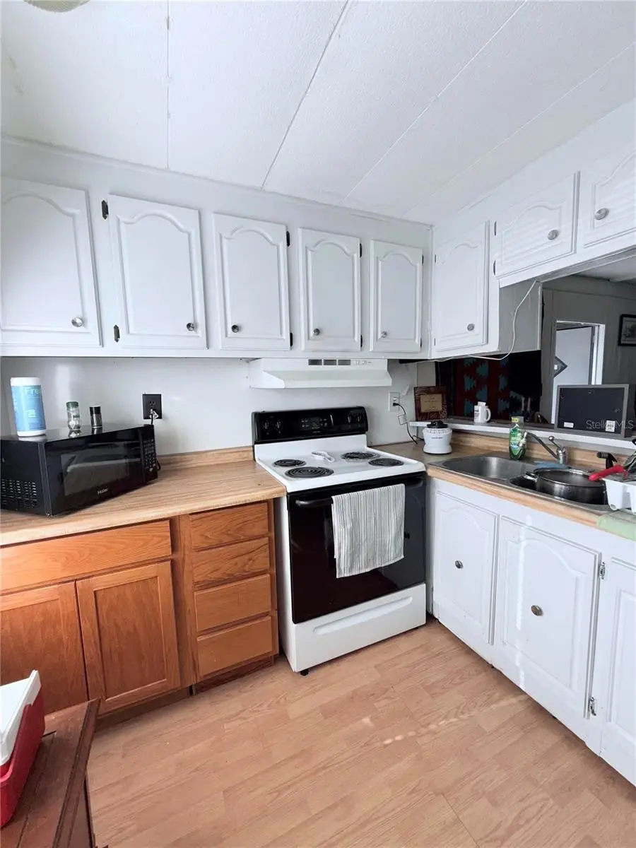 1370 County Drive, Tavares, FL 32778 - #2