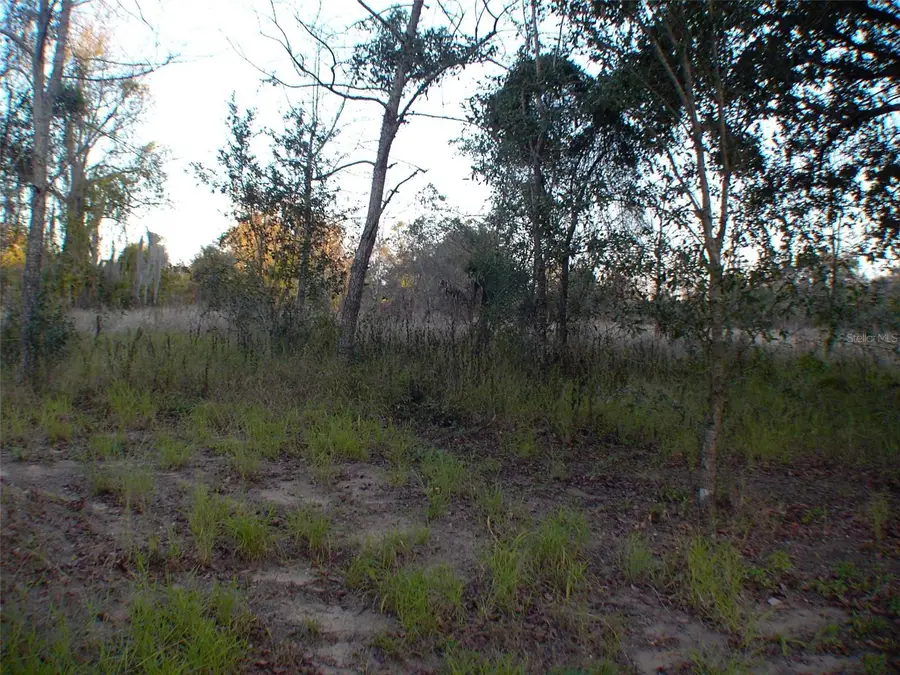 Address Withheld By Seller, Lady Lake, FL 32159 - #2