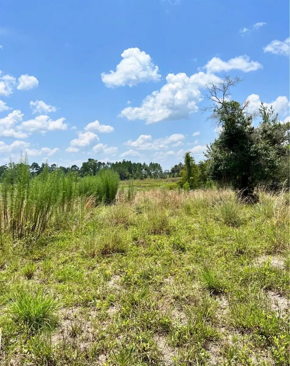 Steward Road, Eustis, FL 32726 - Image #1