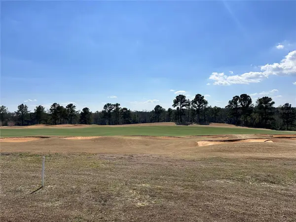 16222 Vetta Drive, BELLA COLLINA, FL 34756