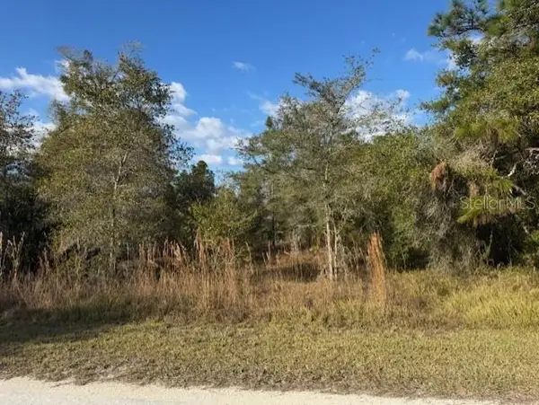 35367 Kramer Street, WEBSTER, FL 33597