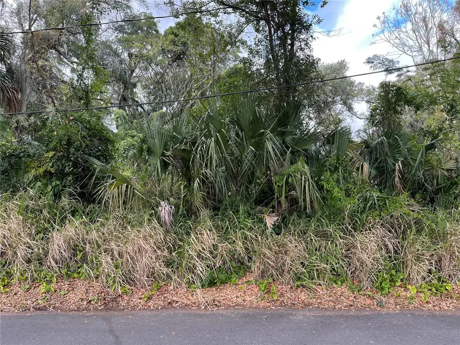 0 E Fruitland Street, Fruitland Park, FL 34731 - Image #2