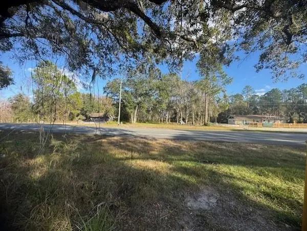 6355 Treiman Boulevard, WEBSTER, FL 33597