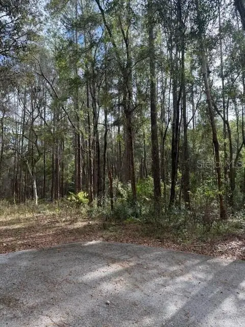1074 W Legion Court, Hernando, FL 34442 - Image #2