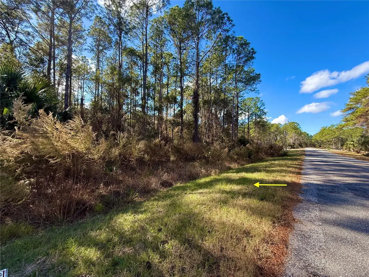 LOT 15 Apricot Avenue, Eustis, FL 32736 - Image #1