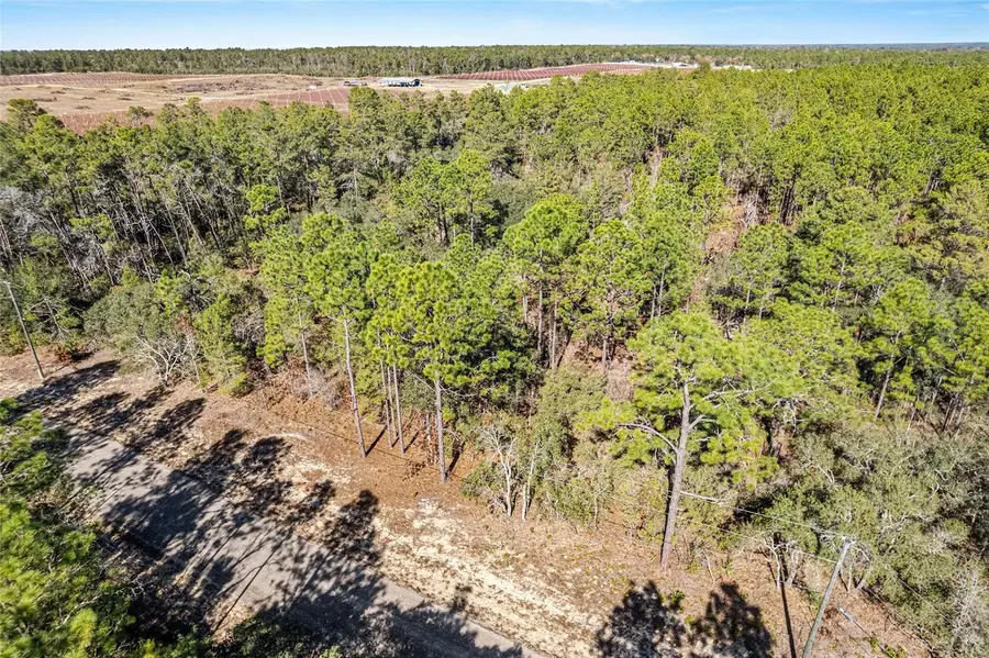 8949 N Farrington Drive, Citrus Springs, FL 34433 - Image #2