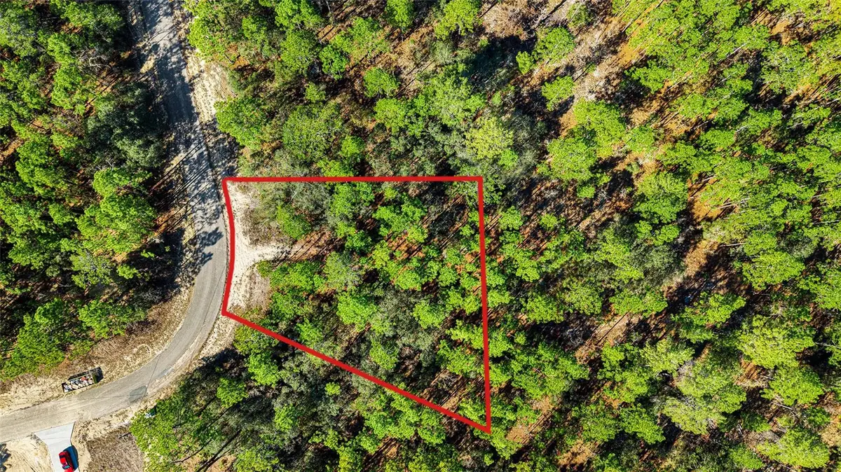 8941 N Farrington Drive, Citrus Springs, FL 34433 - Image #1