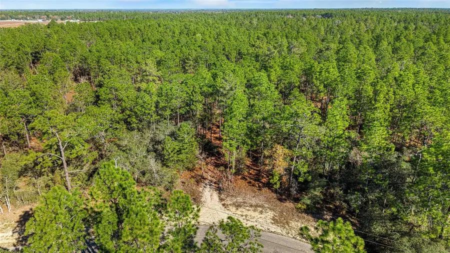 8941 N Farrington Drive, Citrus Springs, FL 34433 - Image #2