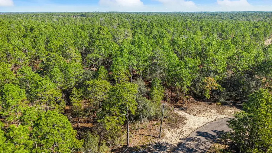 8941 N Farrington Drive, Citrus Springs, FL 34433 - Image #3