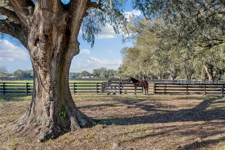 815 SE 145th Street, Summerfield, FL 34491 - Image #2