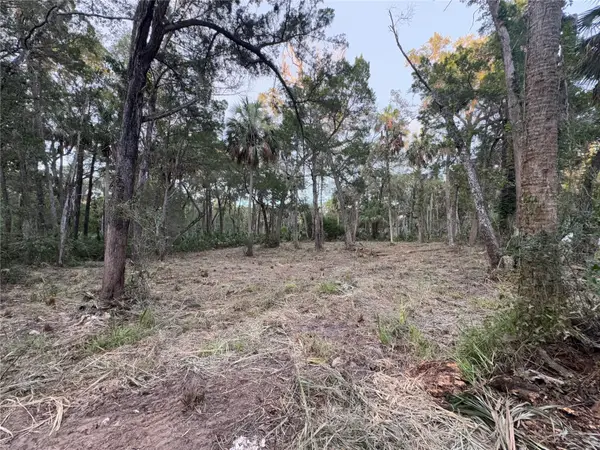 11905 W Eldred Lane, HOMOSASSA, FL 34448