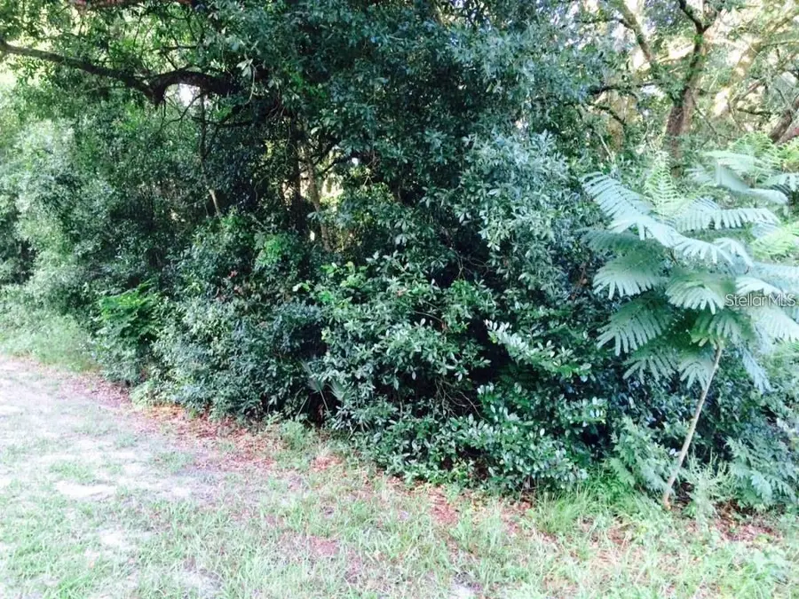 111 Frederick Street, Interlachen, FL 32148 - Image #3