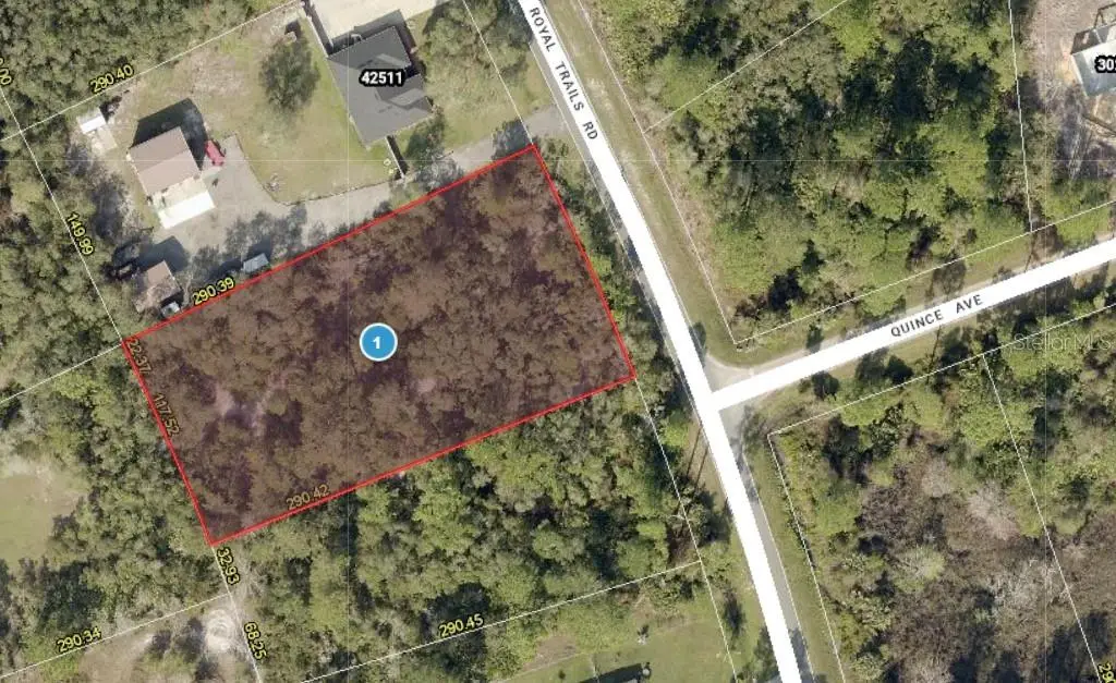 42475 Royal Trails Road, Eustis, FL 32726 - Image #1