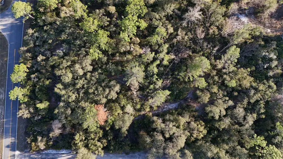 42475 Royal Trails Road, Eustis, FL 32726 - Image #2