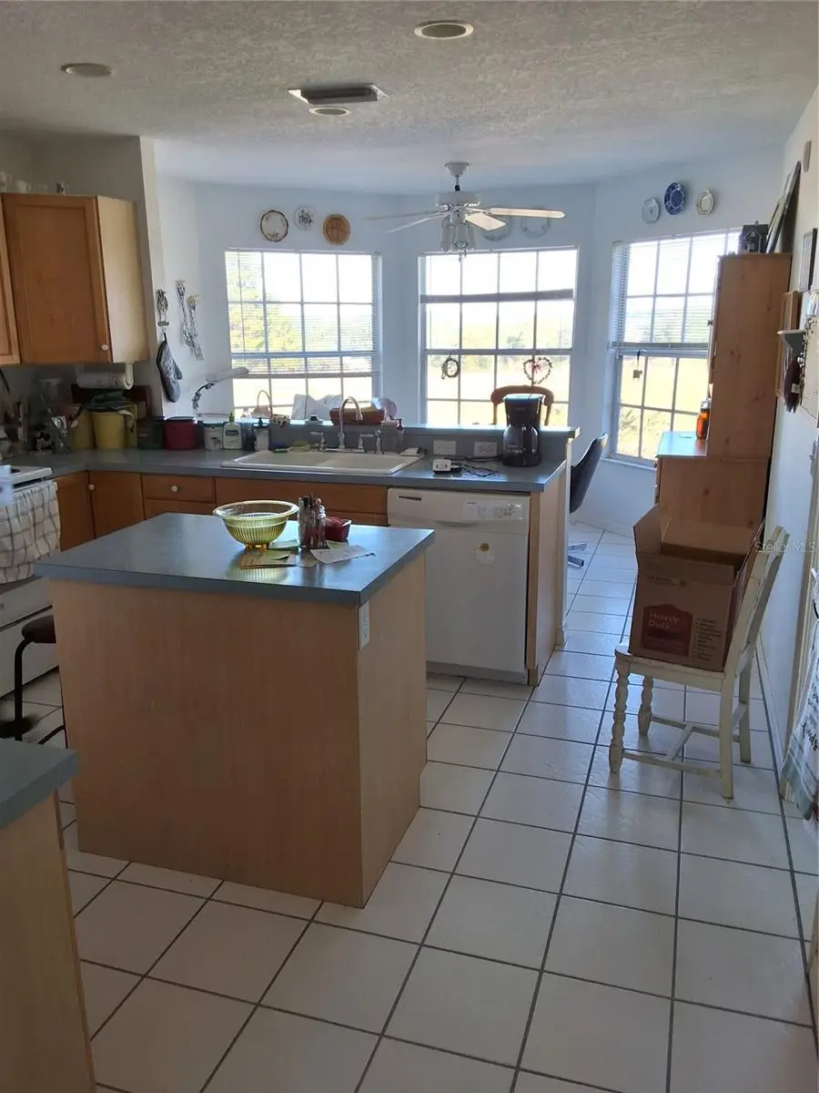 11805 Skyview Lane, Clermont, FL 34715 - Image #3