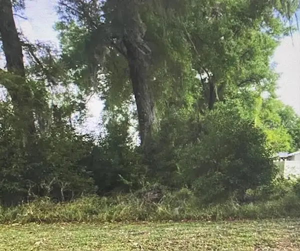 State Street, CENTER HILL, FL 33514