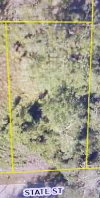 State Street, Center Hill, FL 33514 - Image #2