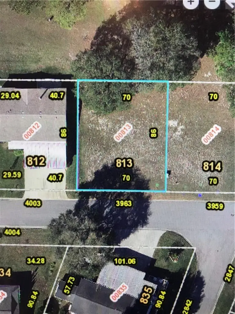3963 Greenbluff Road #813, Zellwood, FL 32798 - Image #1