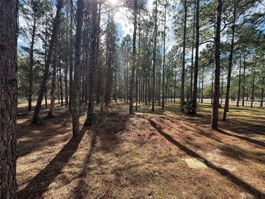 Sw 70th Terrace, Bushnell, FL 33513 - Image #3