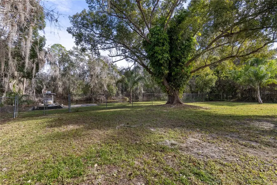 11807 Ocklawaha Drive, Leesburg, FL 34788 - Image #3