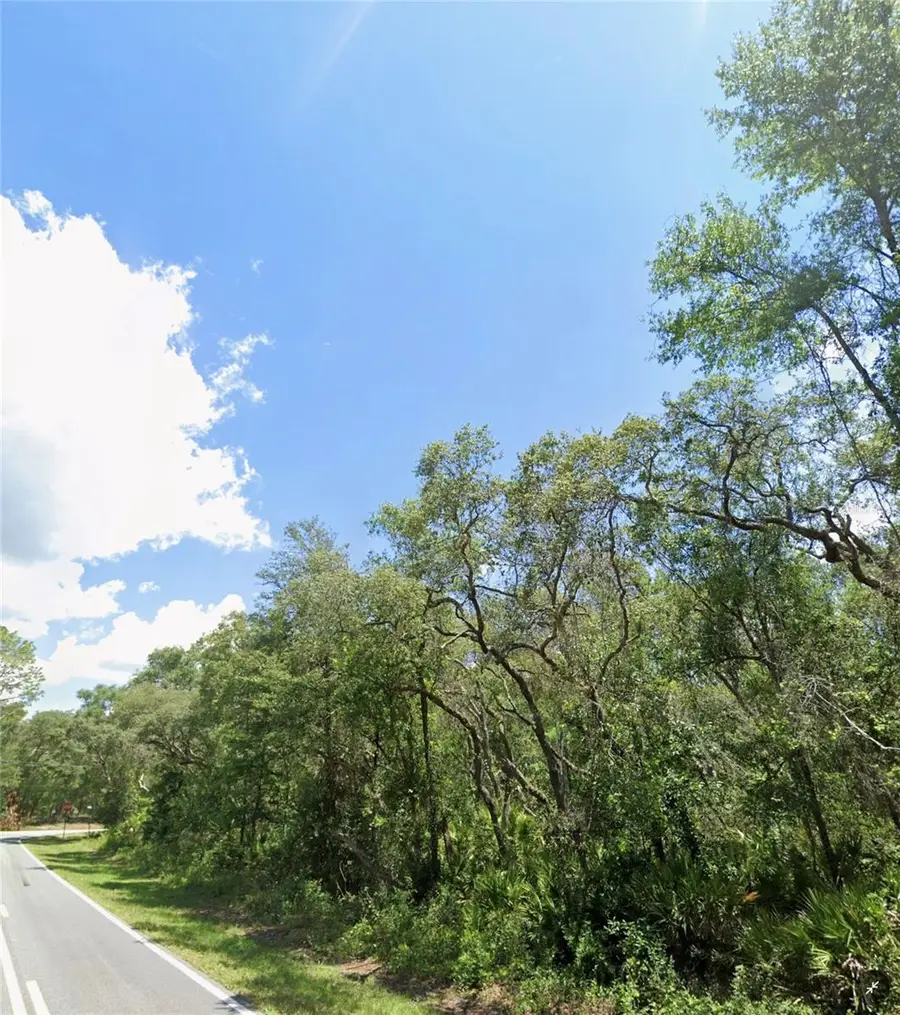 34406 Rim Rock Street, Webster, FL 33597 - Image #3