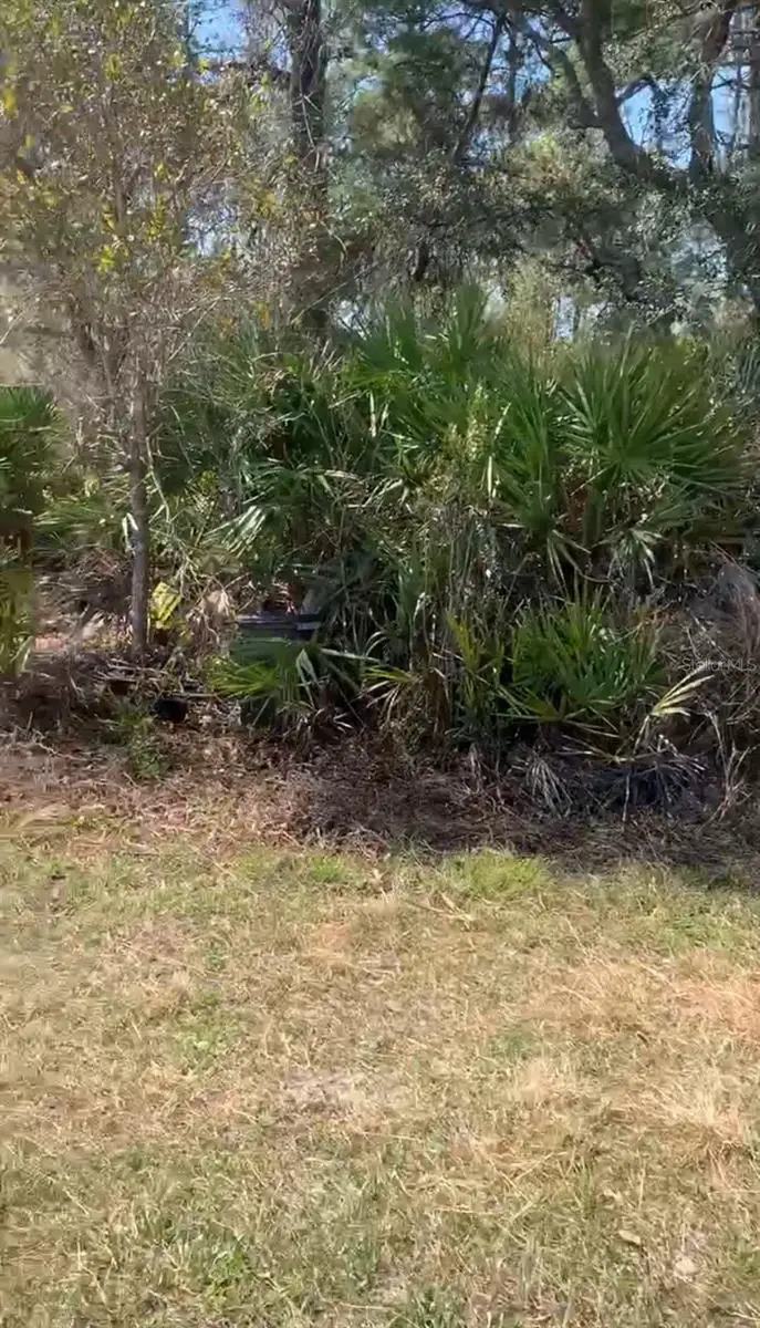 Forest Campsites, Altoona, FL 32702 - Image #1