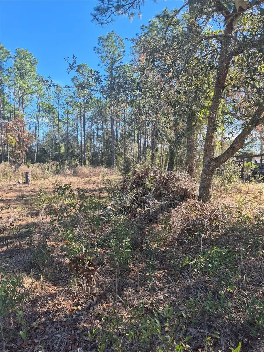 SE 87 Ter, Belleview, FL 34420 - Image #3