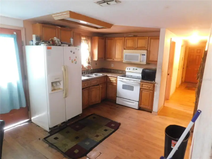 705 W Alfred Street, Tavares, FL 32778 - Image #3