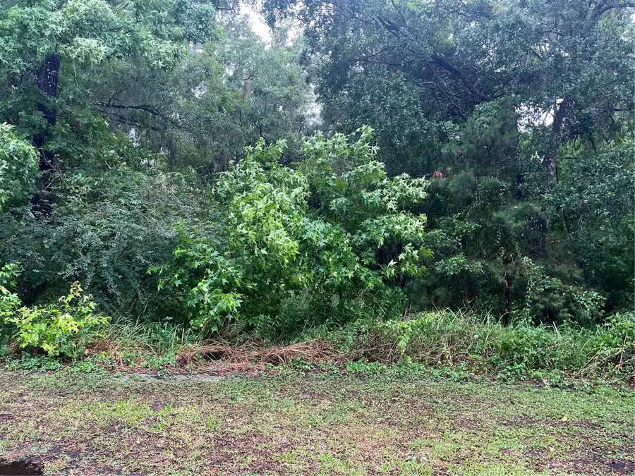 Sharon Street, Brooksville, FL 34601 - Image #2