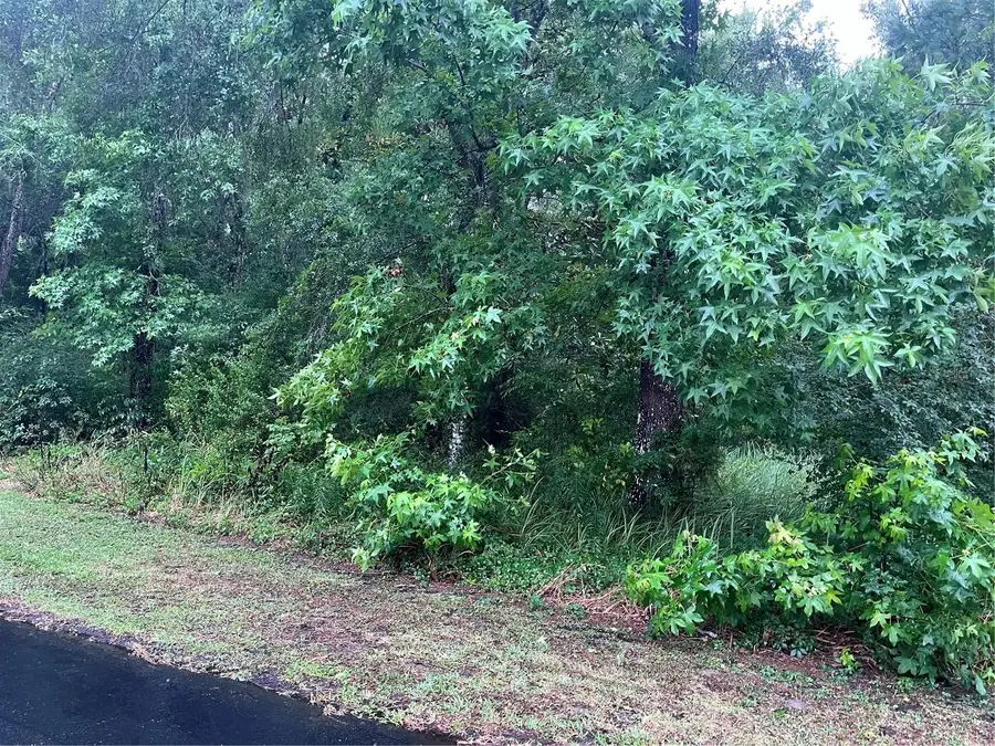 Sharon Street, Brooksville, FL 34601 - Image #3