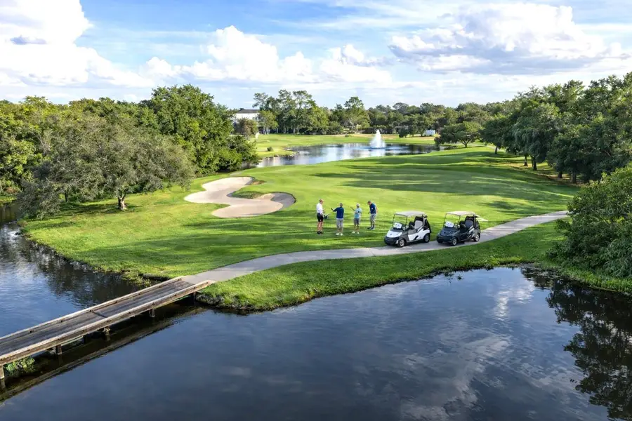 8032 Pine Hollow Drive, Mount Dora, FL 32757 - #3