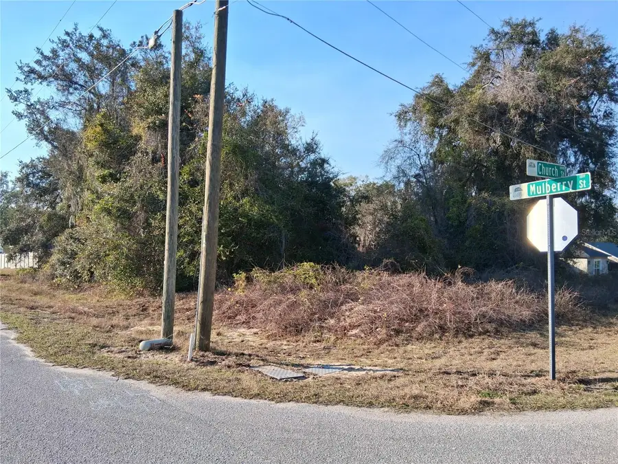 Mulberry Street, Groveland, FL 34736 - #2