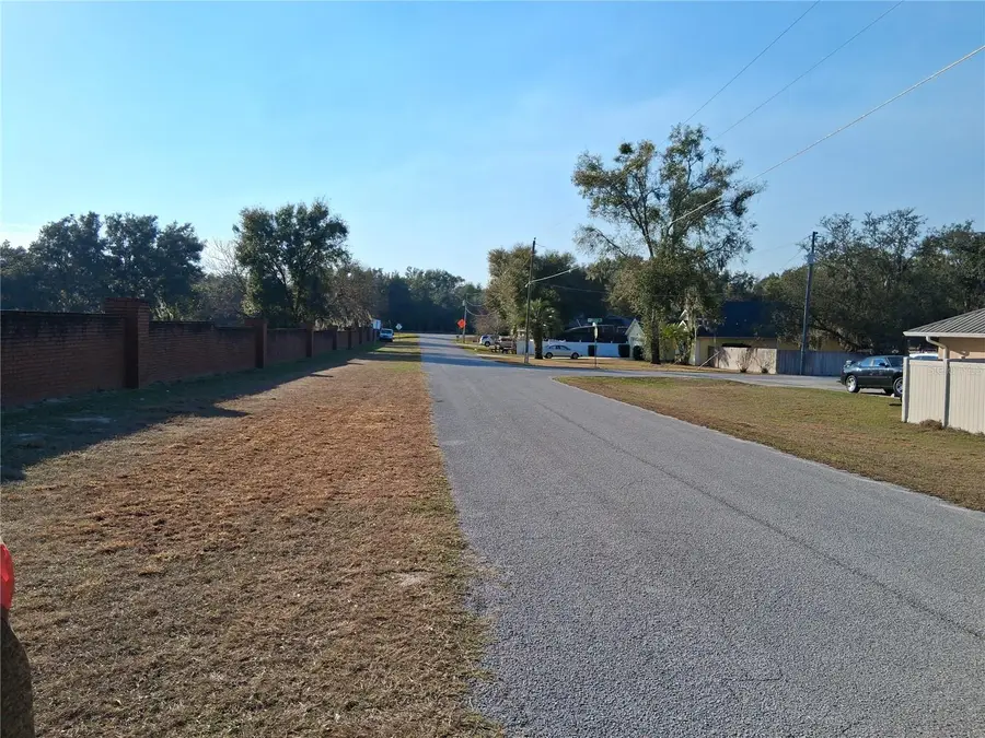 Mulberry Street, Groveland, FL 34736 - #3