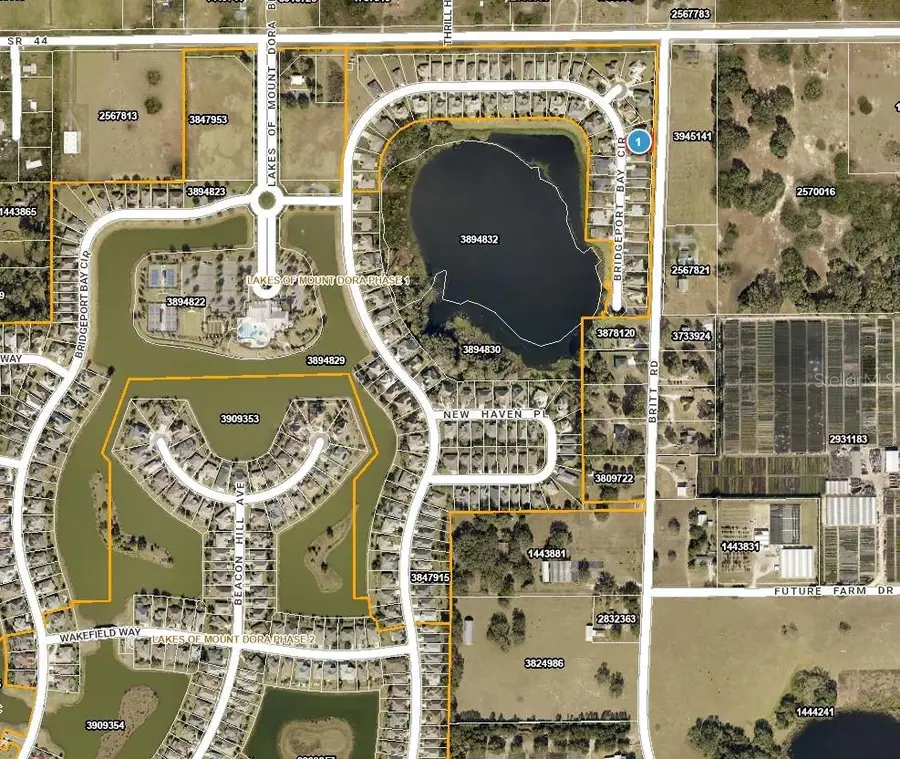 8062 Bridgeport Bay Circle, Mount Dora, FL 32757 - Image #3