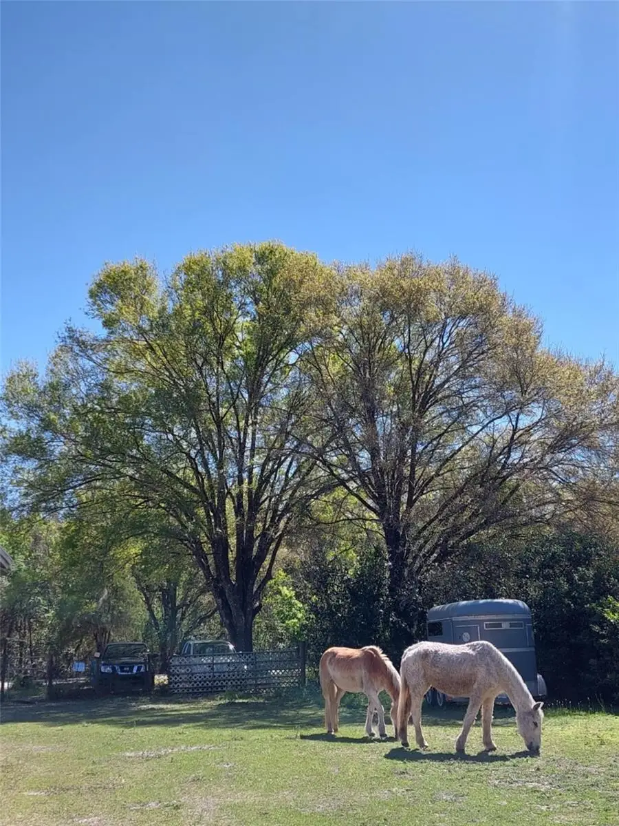 14016 N. Hwy 301, Thonotosassa, FL 33592 - Image #2