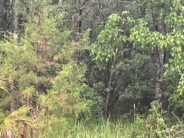 Sharon Street, Brooksville, FL 34601 - #2