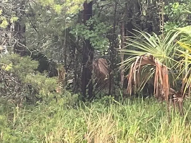 Sharon Street, Brooksville, FL 34601 - #3