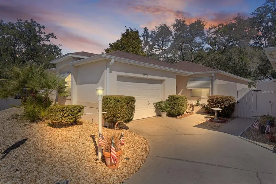 1025 Avalon Avenue, The Villages, FL 32159 - Image #2