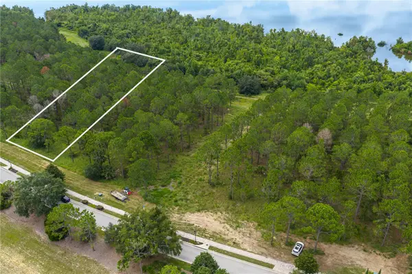 16802 Artimino Loop, BELLA COLLINA, FL 34756