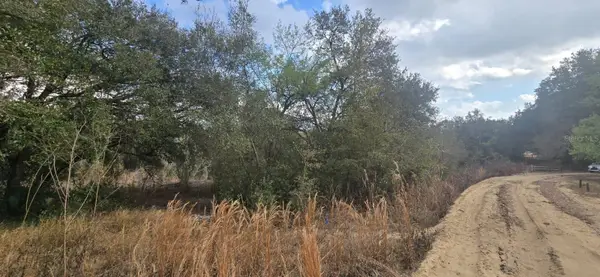 SE 252nd Ave, UMATILLA, FL 32784