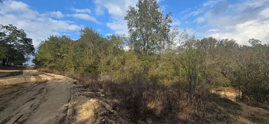 SE 252nd Ave, Umatilla, FL 32784 - #2