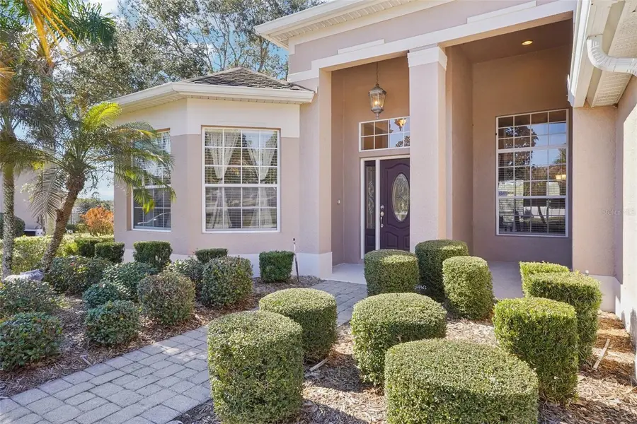 6114 Tremayne Drive, Mount Dora, FL 32757 - #3