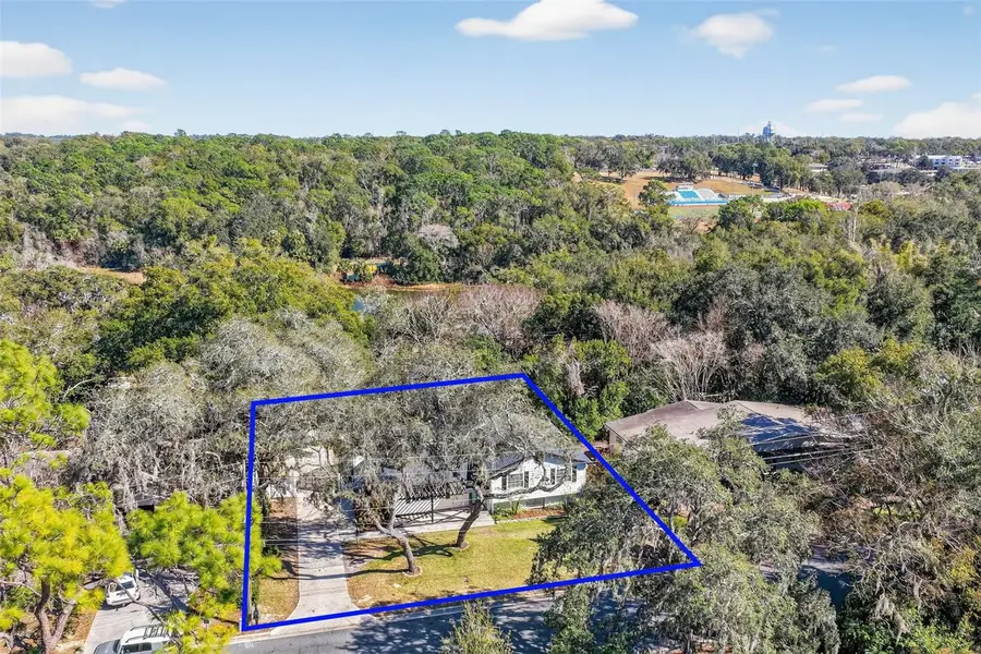 1824 Crestview Drive, Mount Dora, FL 32757 - #3