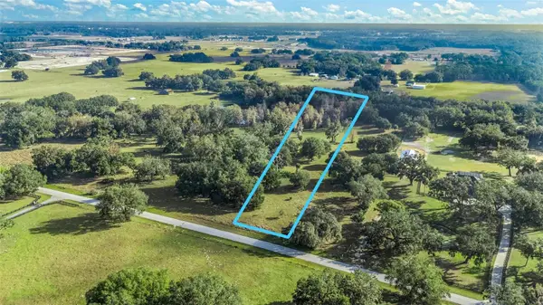 Tract 2 - Cr 221, WILDWOOD, FL 34785
