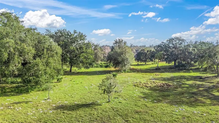 Tract 2 - Cr 221, Wildwood, FL 34785 - Image #3