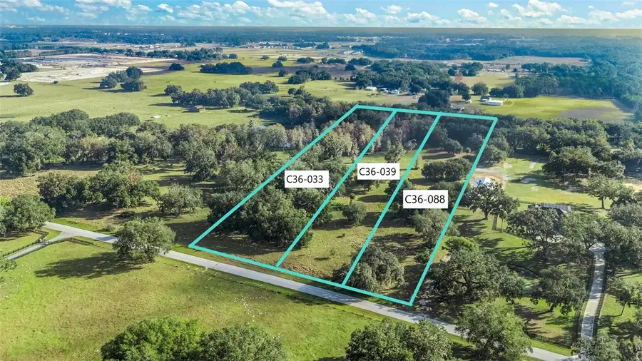 Tract 1 - Cr 221, Wildwood, FL 34785 - Image #2